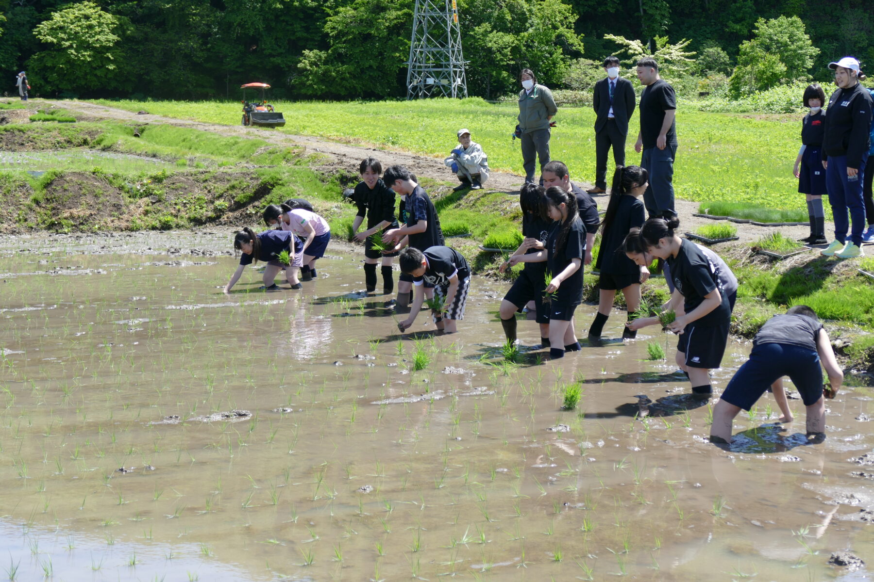 ５月２５日１年総合　黒米田植え体験 5枚目写真