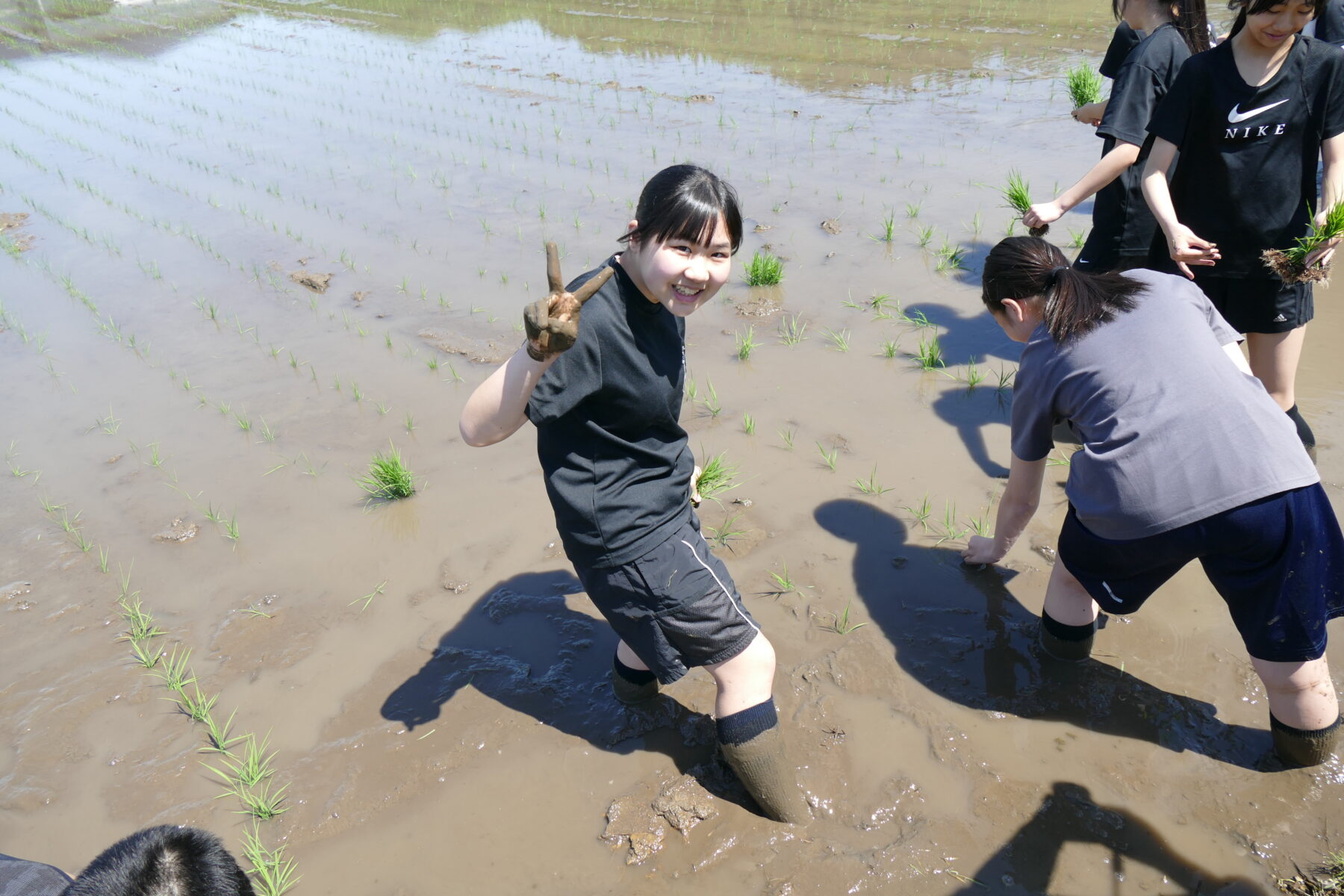 ５月２５日１年総合　黒米田植え体験 6枚目写真