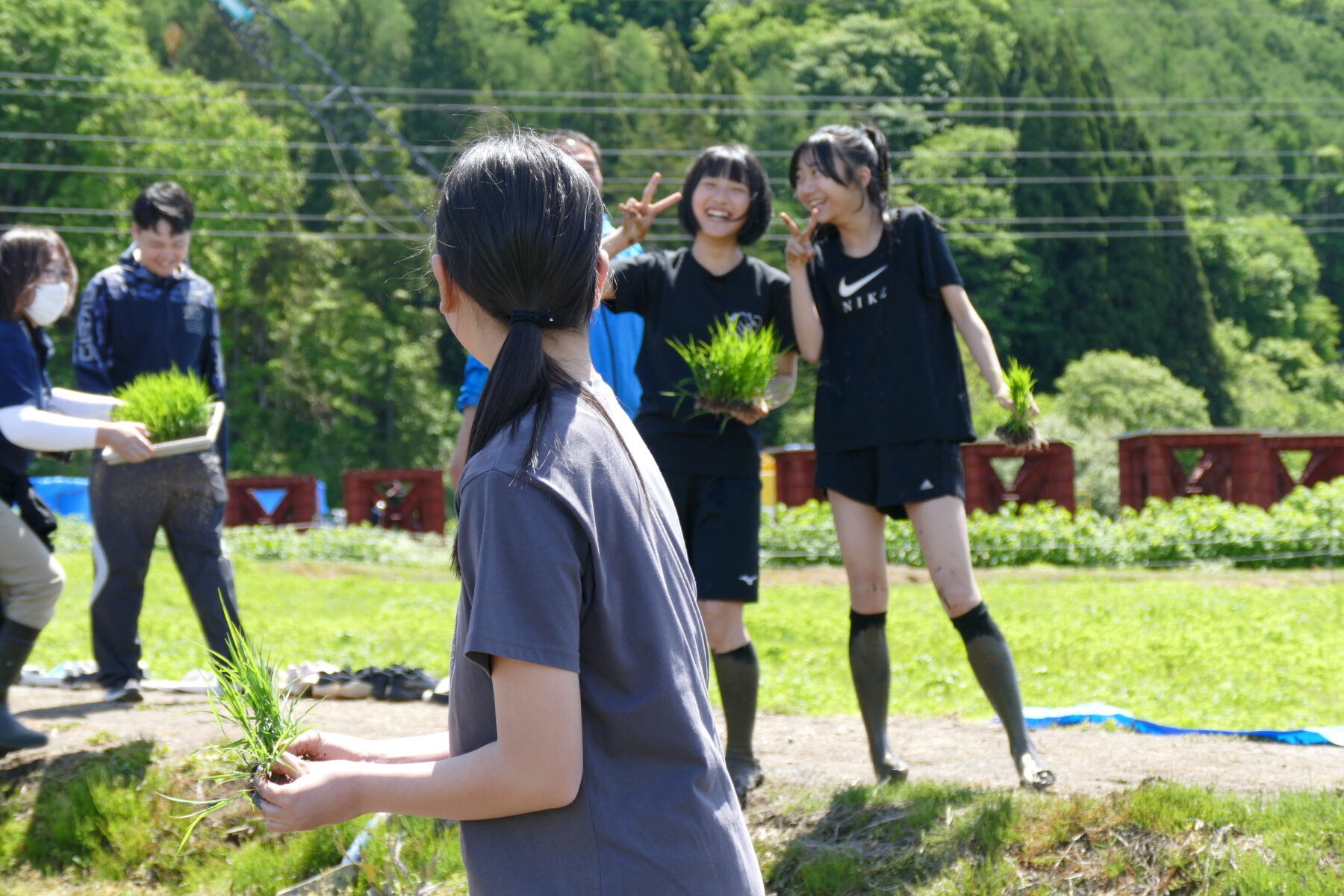 ５月２５日１年総合　黒米田植え体験 8枚目写真