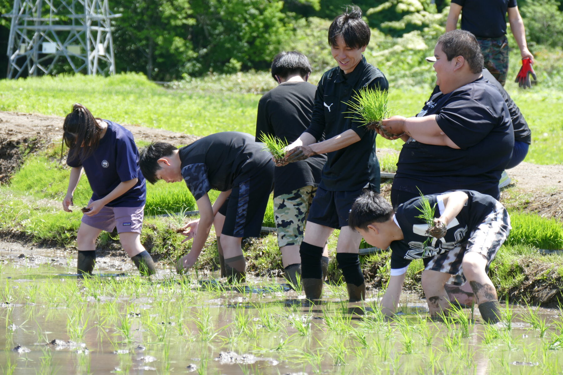 ５月２５日１年総合　黒米田植え体験 7枚目写真