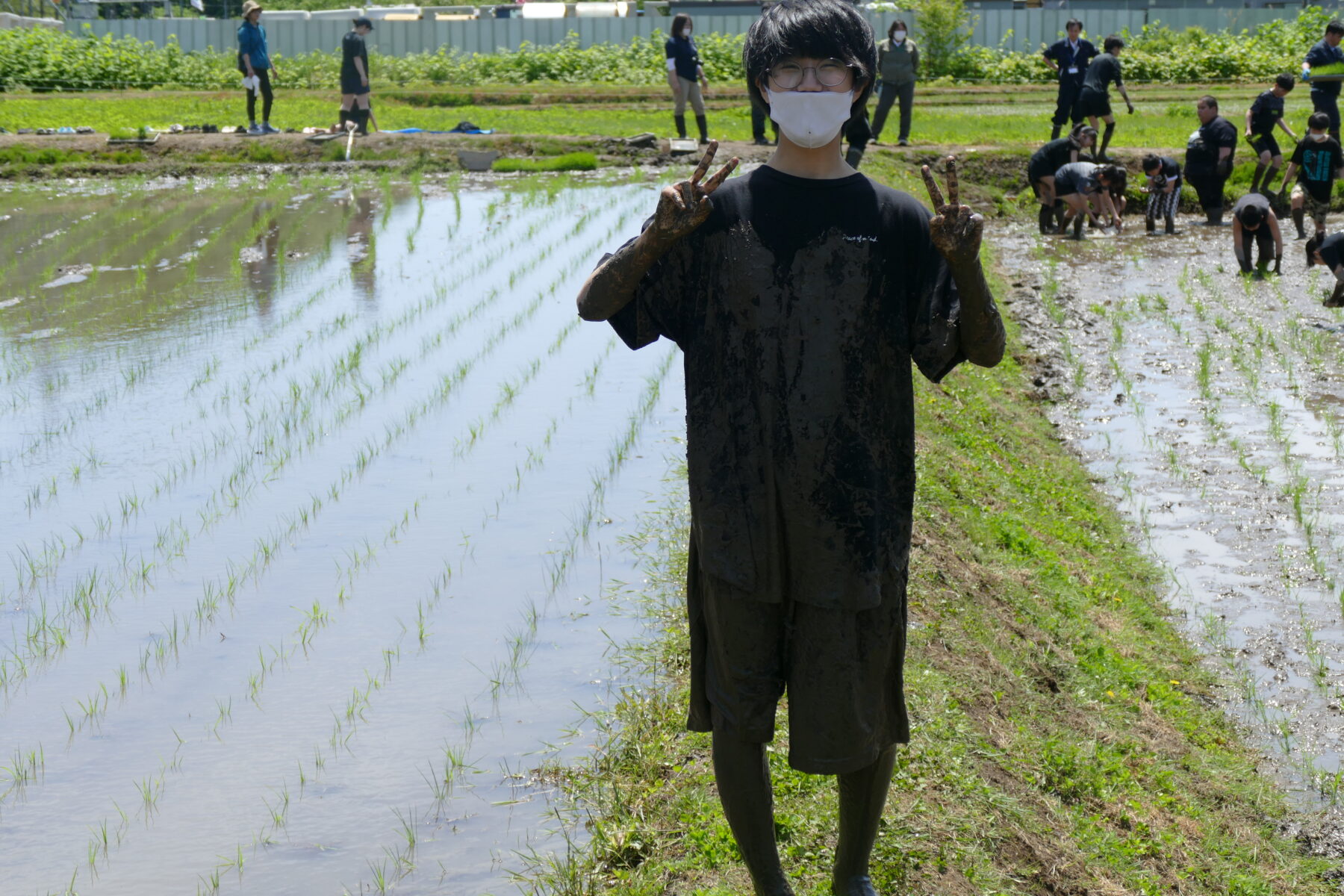 ５月２５日１年総合　黒米田植え体験 10枚目写真