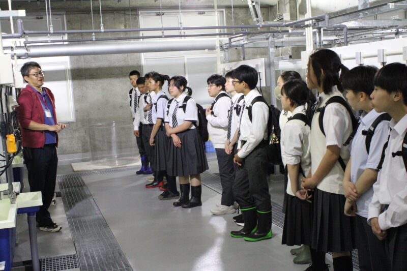 ６月１日２年生総合漁業講話