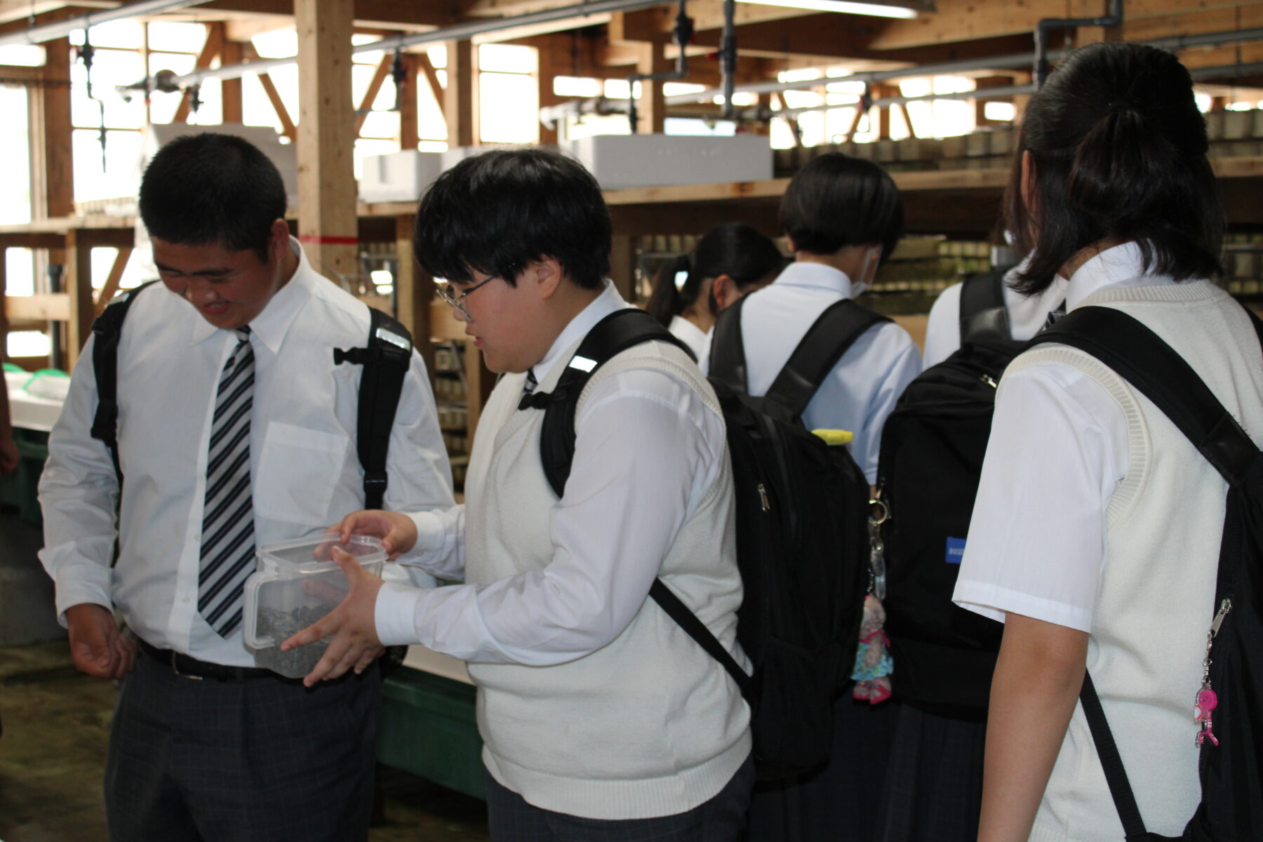 ６月１日２年生総合漁業講話 8枚目写真