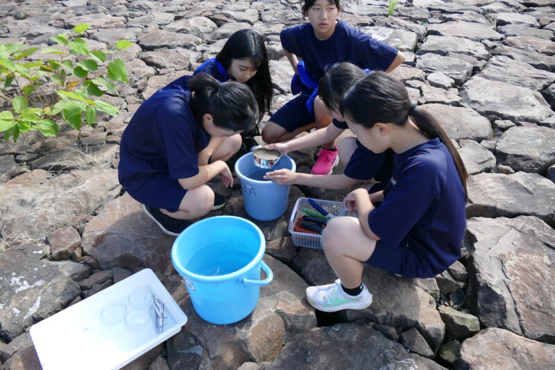 ６月３０日１年総合環境教育マイクロプラスチック