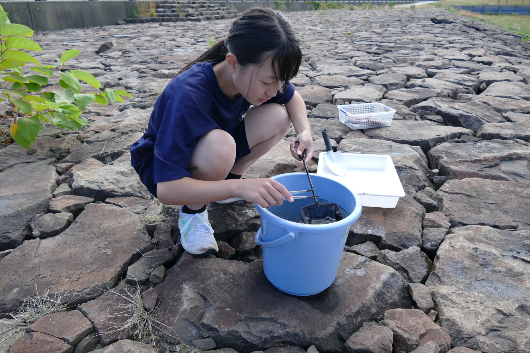 ６月３０日１年総合環境教育マイクロプラスチック 7枚目写真