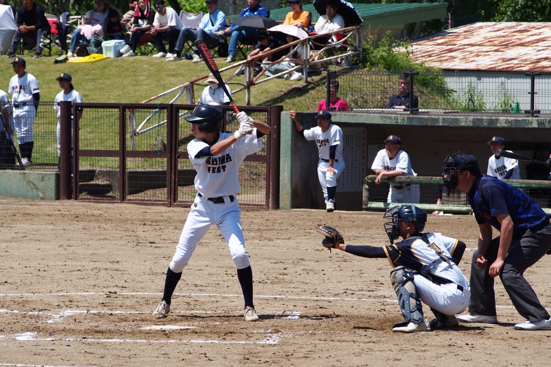 ６月２８日渡島西部四町拠点校野球部　渡島中体連優勝 8枚目写真