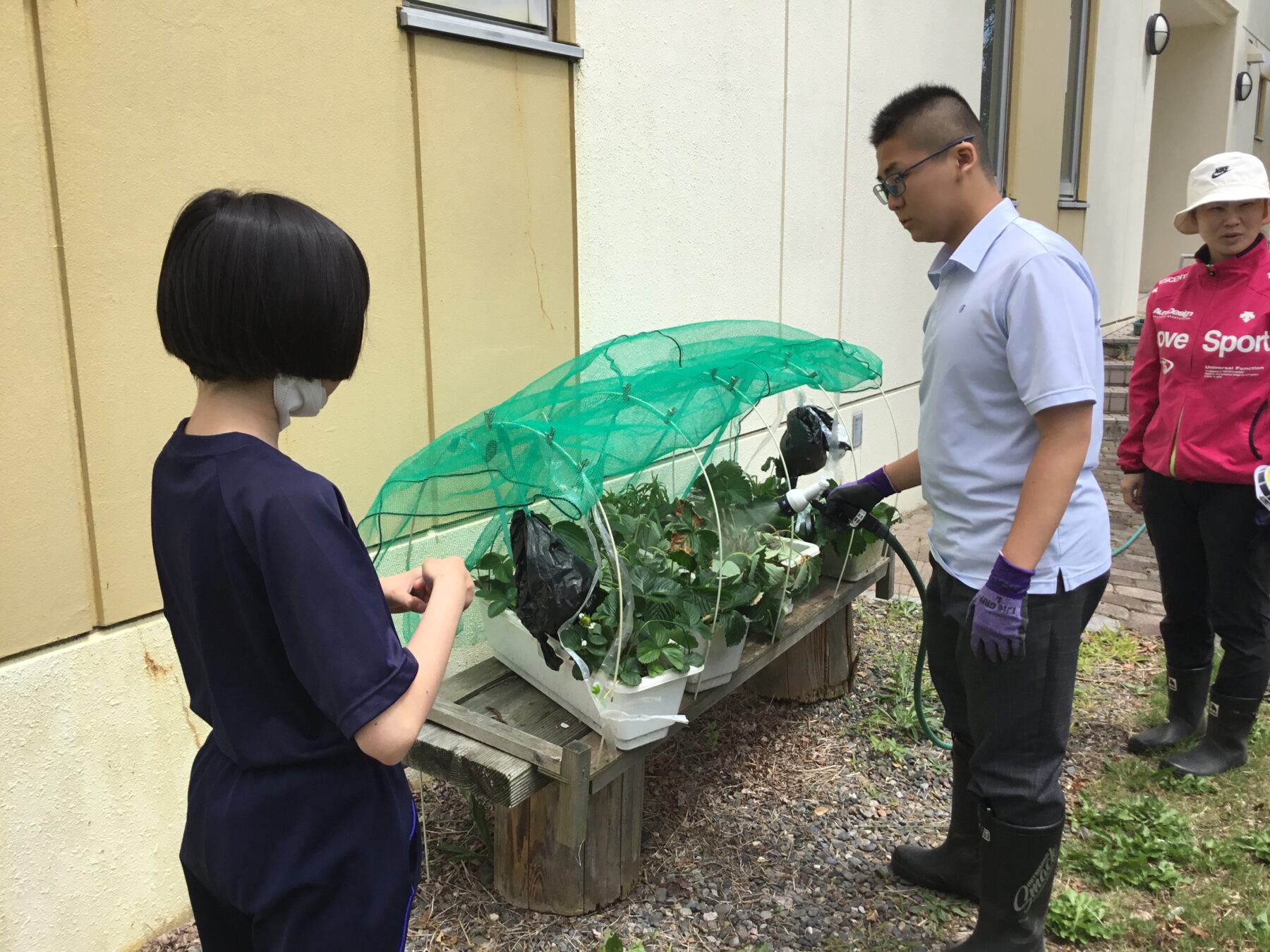 ７月６日支援級授業 2枚目写真