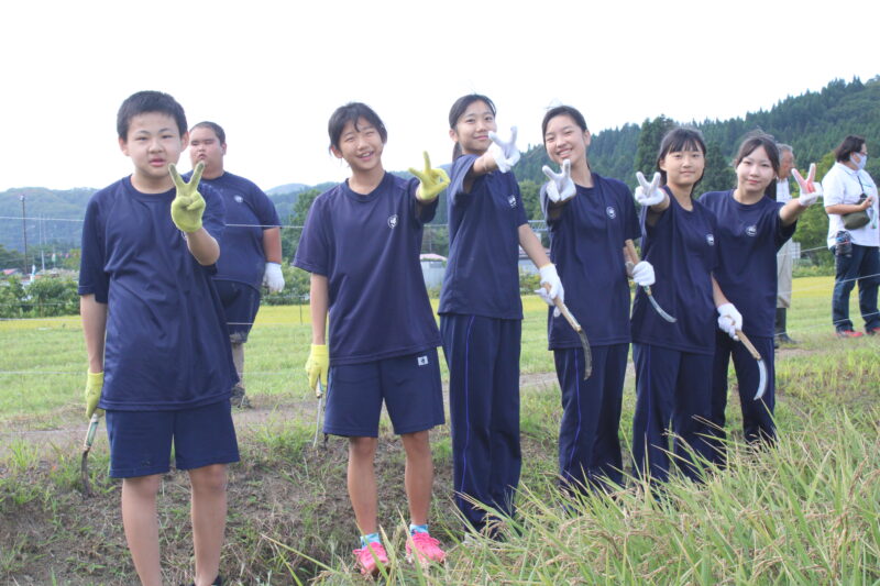 9月9日1年総合黒米稲刈り体験