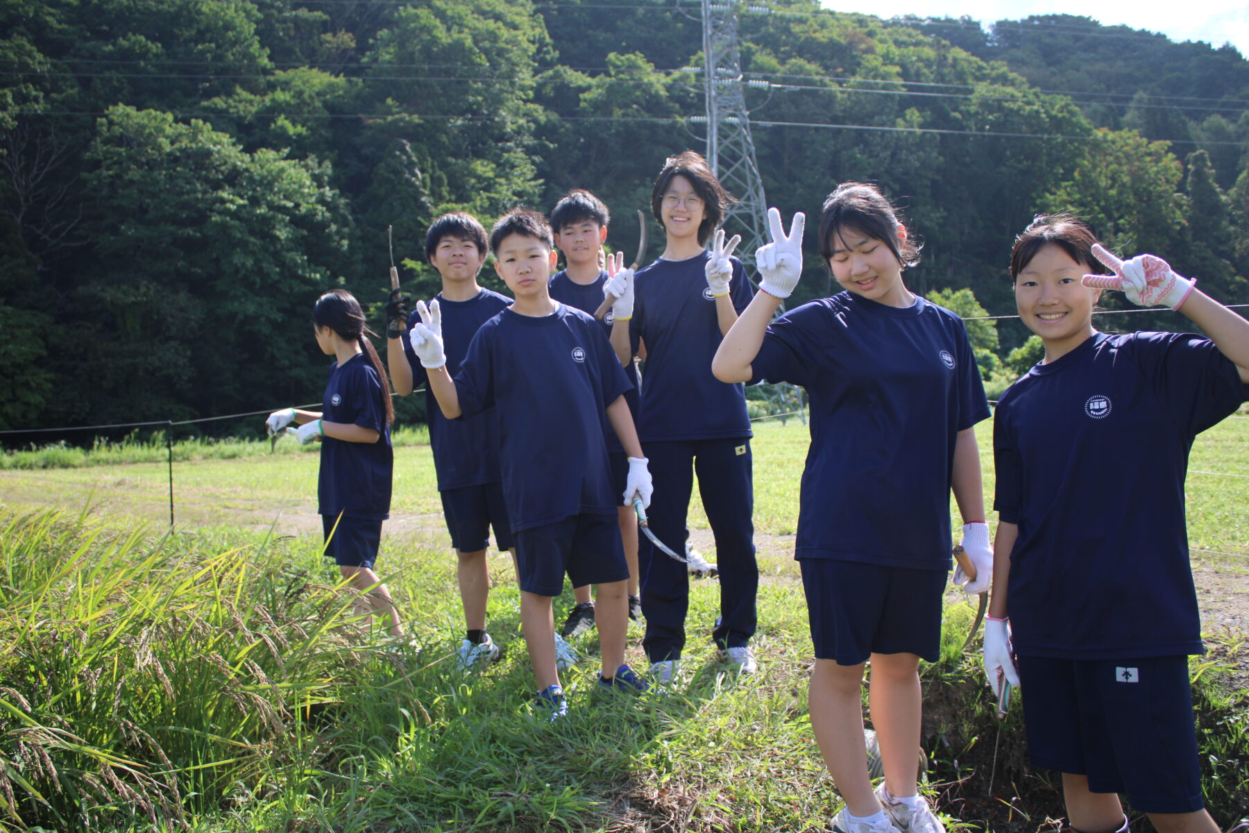 ９月９日１年総合黒米稲刈り体験 2枚目写真