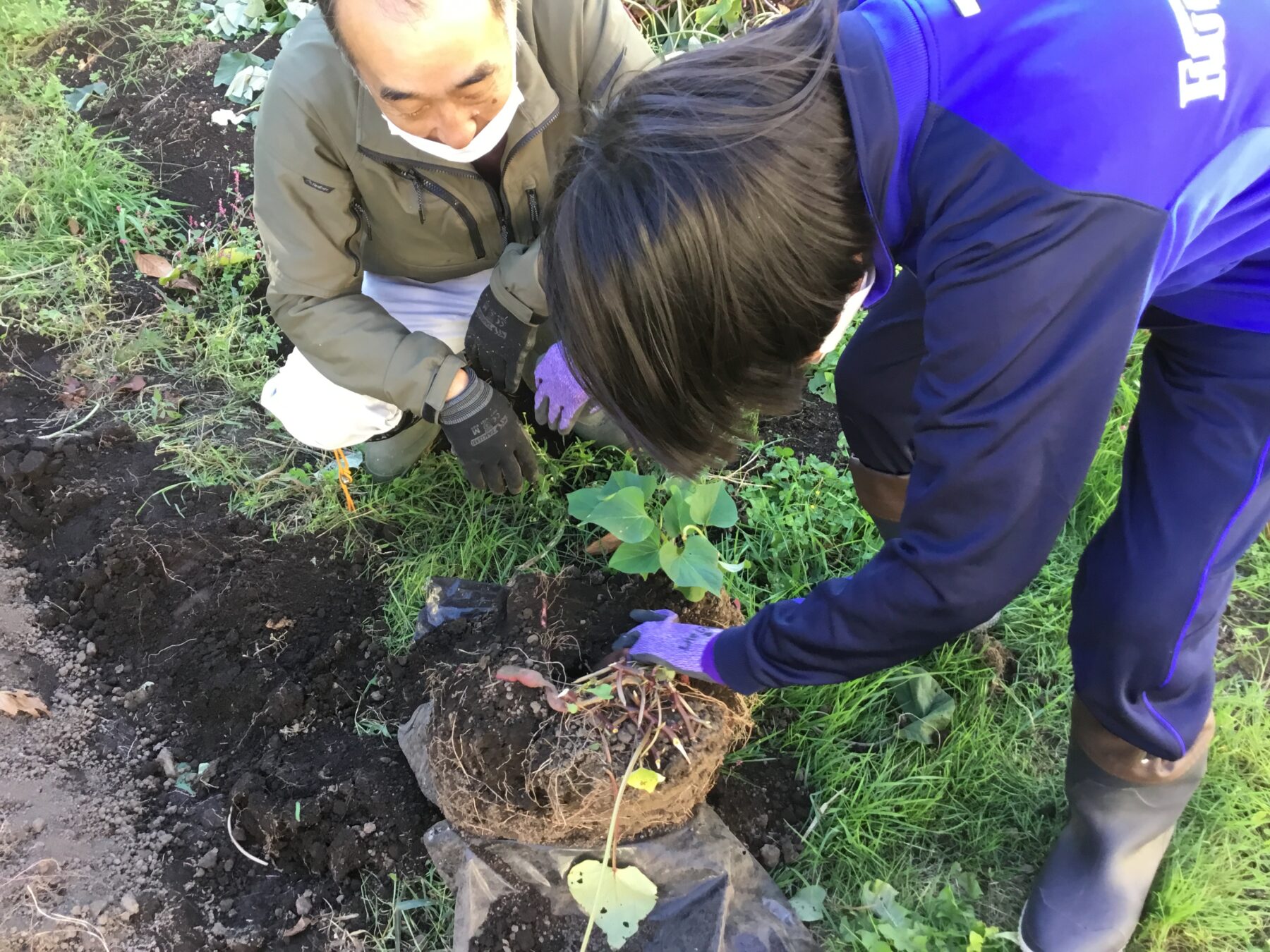 １０月７日特別支援級作業学習 3枚目写真