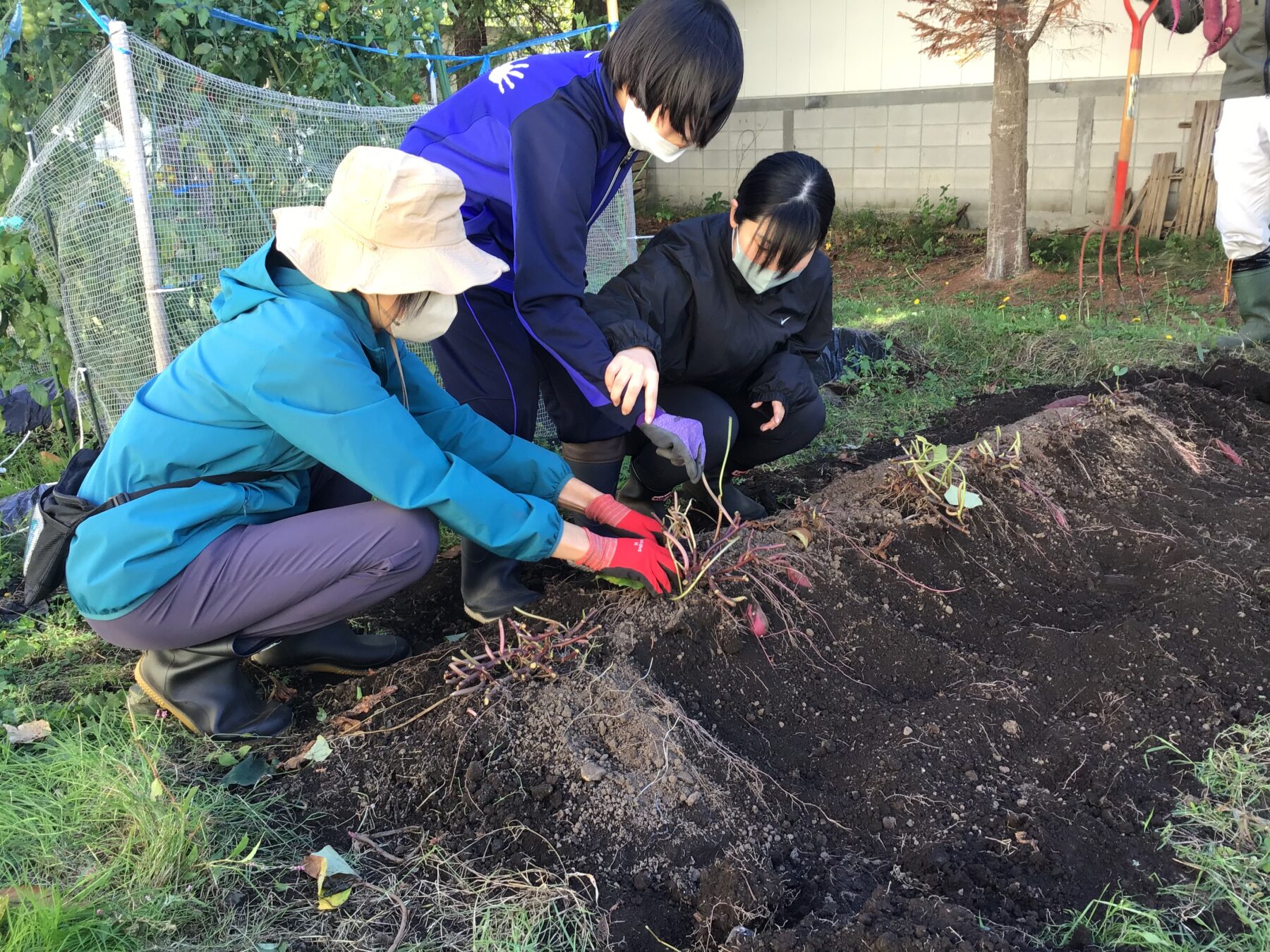 １０月７日特別支援級作業学習 8枚目写真